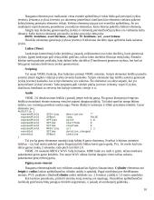 Virtualios realybės modeliavimo kalba 9 puslapis