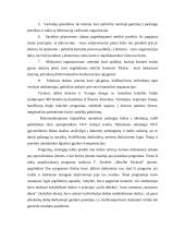 Visuotinė kokybės vadyba organizacijos viduje ir jos kaštai 5 puslapis