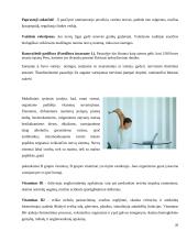 Vitaminai, mineralai, žuvų taukai 20 puslapis