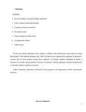 Vitaminai, mineralai, žuvų taukai 3 puslapis