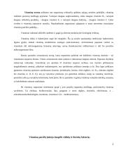 Vitaminai, mineralai, žuvų taukai 6 puslapis