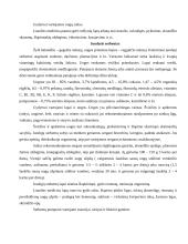 Vitaminingi augalai 5 puslapis