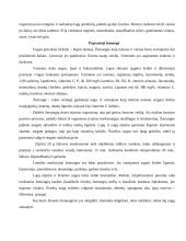 Vitaminingi augalai 8 puslapis