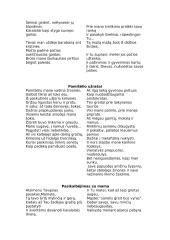 Žmogus, turėjęs vieną vienintelę svajonę– išgyventi karą: Vytautas Mačernis  12 puslapis