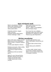 Žmogus, turėjęs vieną vienintelę svajonę– išgyventi karą: Vytautas Mačernis  14 puslapis