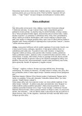 Žmogus, turėjęs vieną vienintelę svajonę– išgyventi karą: Vytautas Mačernis  4 puslapis