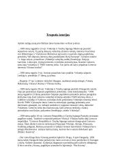 Žmogus, turėjęs vieną vienintelę svajonę– išgyventi karą: Vytautas Mačernis  6 puslapis