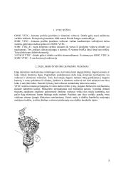 VTEC dujų skirstymo sistema 3 puslapis