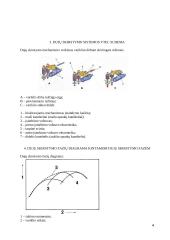 VTEC dujų skirstymo sistema 4 puslapis