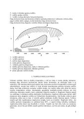 VTEC dujų skirstymo sistema 5 puslapis