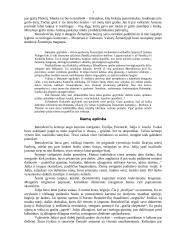 Žemaitė ir jos asmenybė 3 puslapis