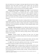 Žinių ekonomika 4 puslapis