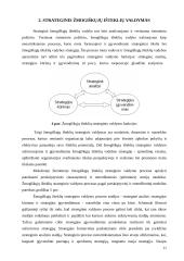 Žmogiškųjų išteklių strateginis valdymas 11 puslapis