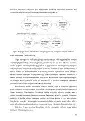 Žmogiškųjų išteklių strateginis valdymas 12 puslapis