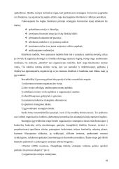 Žmogiškųjų išteklių strateginis valdymas 18 puslapis