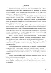 Žmogiškųjų išteklių strateginis valdymas 20 puslapis