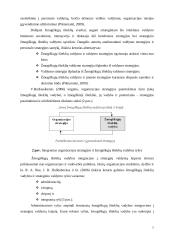 Žmogiškųjų išteklių strateginis valdymas 7 puslapis