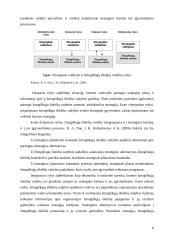 Žmogiškųjų išteklių strateginis valdymas 8 puslapis