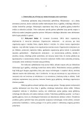 Žmogiškųjų išteklių ugdymo svarba ir nuolatinio mokymo(si) organizavimas 4 puslapis