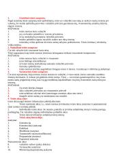 Etatistinės teisės samprata