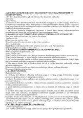 Etatistinės teisės samprata 17 puslapis