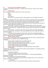 Etatistinės teisės samprata 3 puslapis