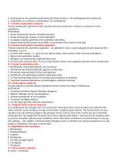 Etatistinės teisės samprata 5 puslapis