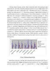 Paslaugų  paklausos vertinimas: grožio salonas "Irmina" 13 puslapis