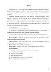 Paslaugų  paklausos vertinimas: grožio salonas "Irmina" 3 puslapis