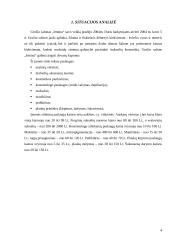 Paslaugų  paklausos vertinimas: grožio salonas "Irmina" 4 puslapis