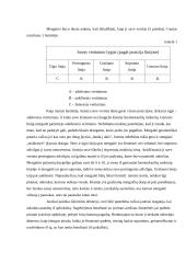 Mokinio psichologinė charakteristika 4 puslapis