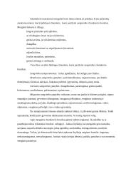 Mokinio psichologinė charakteristika 5 puslapis
