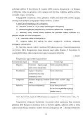 Besimokanti organizacija ir kompiuterinio raštingumo raiška 13 puslapis
