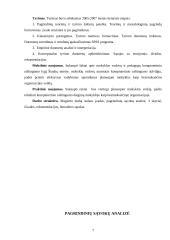 Besimokanti organizacija ir kompiuterinio raštingumo raiška 7 puslapis