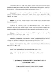 Besimokanti organizacija ir kompiuterinio raštingumo raiška 9 puslapis
