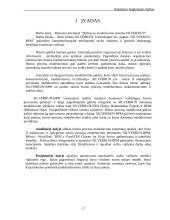 Darbas su modeliavimo sistema SILVERRUN 2 puslapis