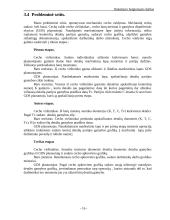 Darbas su modeliavimo sistema SILVERRUN 16 puslapis