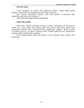 Darbas su modeliavimo sistema SILVERRUN 17 puslapis