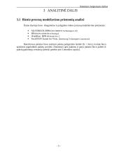 Darbas su modeliavimo sistema SILVERRUN 5 puslapis