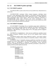 Darbas su modeliavimo sistema SILVERRUN 7 puslapis