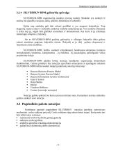 Darbas su modeliavimo sistema SILVERRUN 9 puslapis