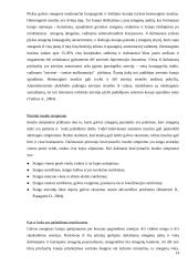 Kineziterapijos įtaka pacientų, sergančių galvos smegenų insultu, kasdieninio savarankiškumo pokyčiams pakartotinės reabilitacij 13 puslapis