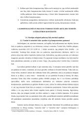 Kompensacinės ir skatinamosios teisinės civilinės atsakomybės funkcijos 13 puslapis