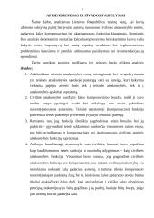 Kompensacinės ir skatinamosios teisinės civilinės atsakomybės funkcijos 3 puslapis