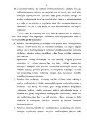 Kompensacinės ir skatinamosios teisinės civilinės atsakomybės funkcijos 6 puslapis