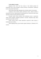 Slaptas sekimas: takoskyra tarp operatyvinės veiklos ir baudžiamojo proceso 4 puslapis