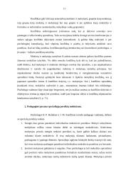 Specialių poreikių mokiniams teikiamos pedagoginės-psichologinės paramos ypatumai 17 puslapis
