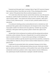 Sportinės klasės lėktuvo projektas 2 puslapis