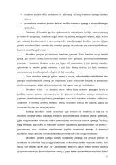 Turto draudimo sutartis 13 puslapis