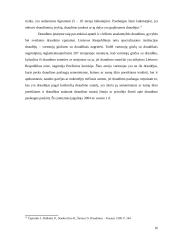 Turto draudimo sutartis 14 puslapis